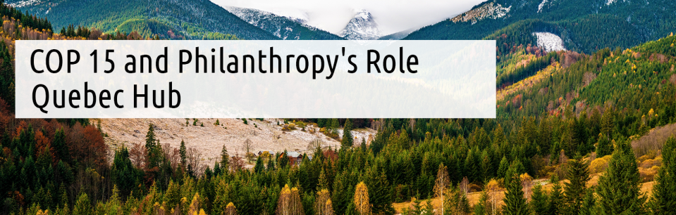 COP 15 and philanthropy's role